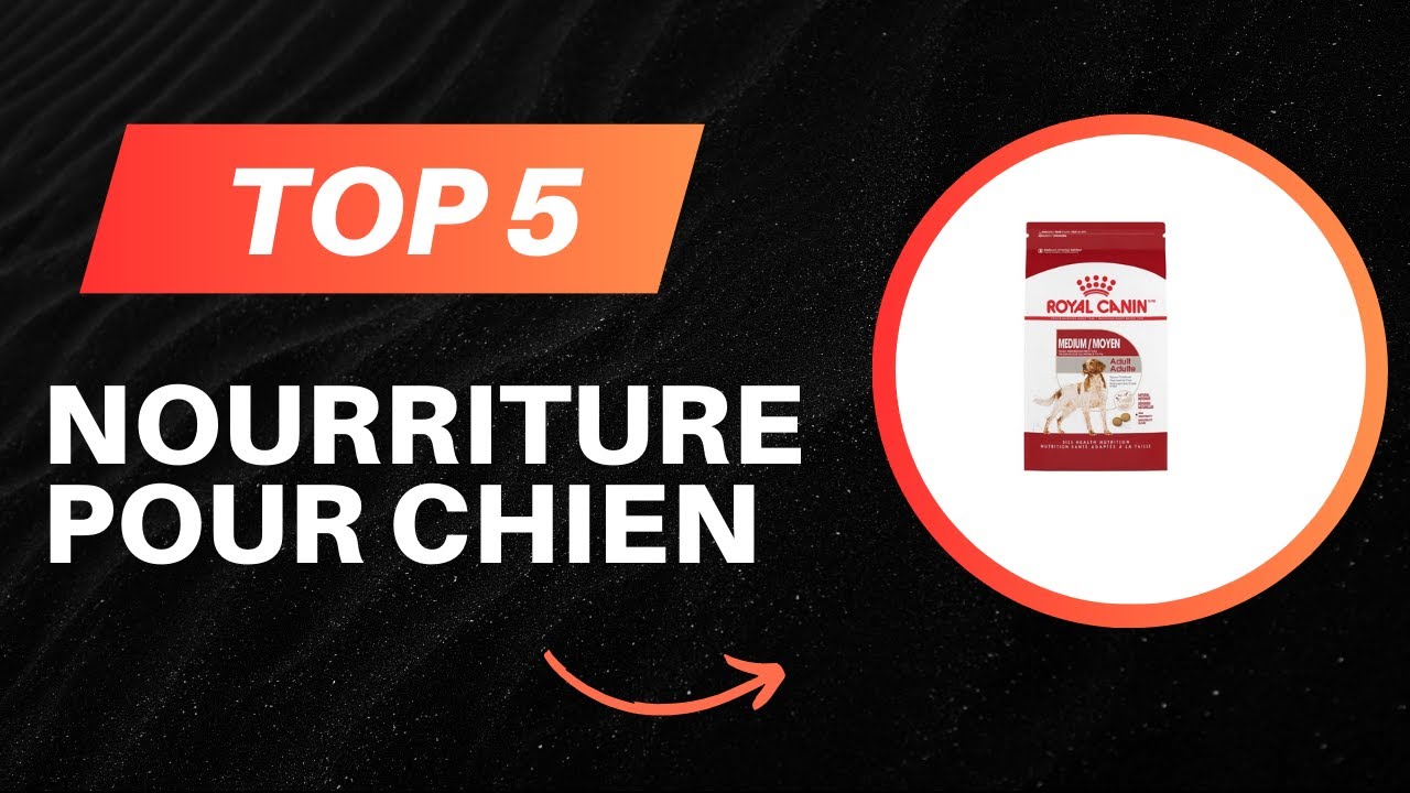 TOP 5 Meilleur Nourriture pour Chien 2026 - Les Nourriture pour Chien Comparatif (Les Prix Les Plus)