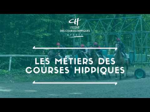 [MÉTIERS] Les métiers des courses hippiques