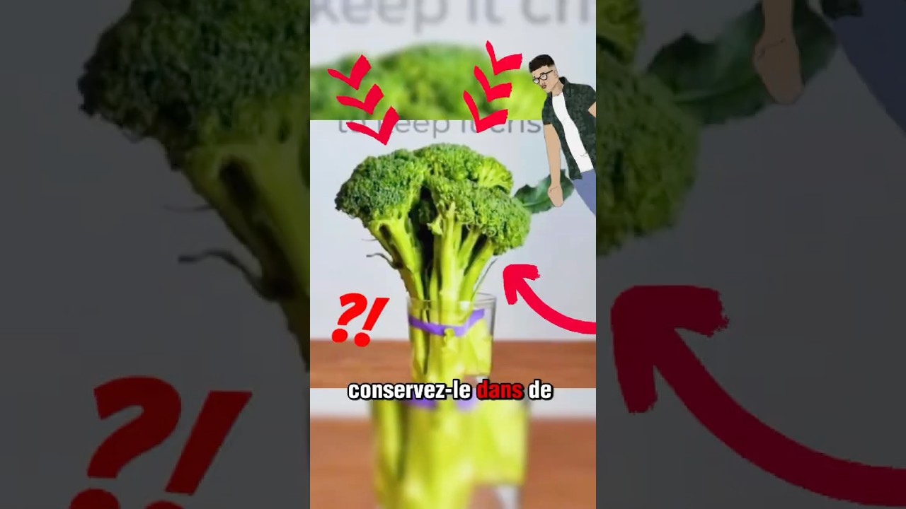 10 Astuces de Conservation Alimentaire Que Les Vendeurs Ne Vous Diront Jamais !