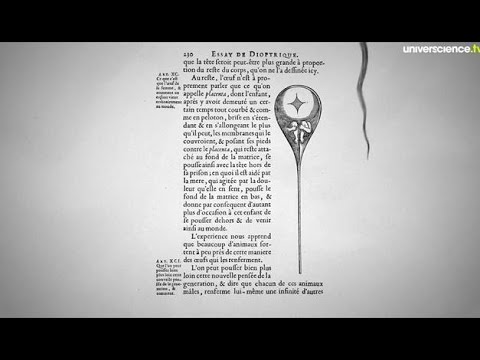 1780 : Spallanzani et les spermatozoïdes