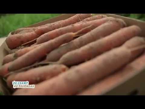 Philippe Jean : producteur de carottes  (Emission : "Du champ au fourneau" - Campagnes TV- Interfel)