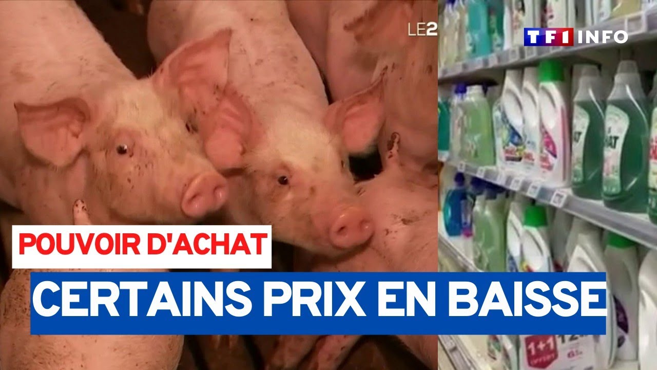 Pouvoir d'achat : oui, certains prix baissent !