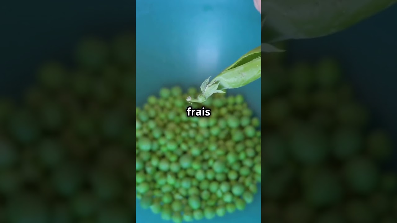Frais vs Surgelés : Le match des légumes, qui gagne ?"