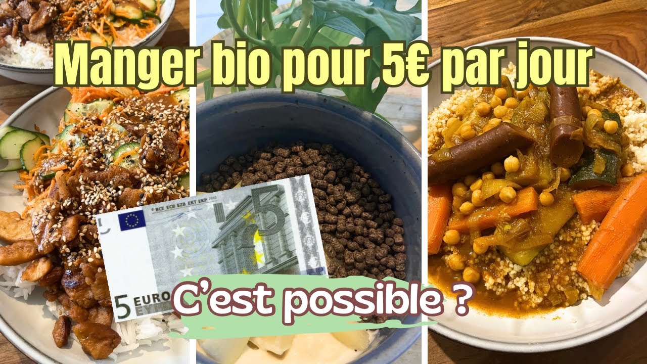 Défi petit budget : Manger bio pour 5€ par jour (sans lactose et sans oeufs)