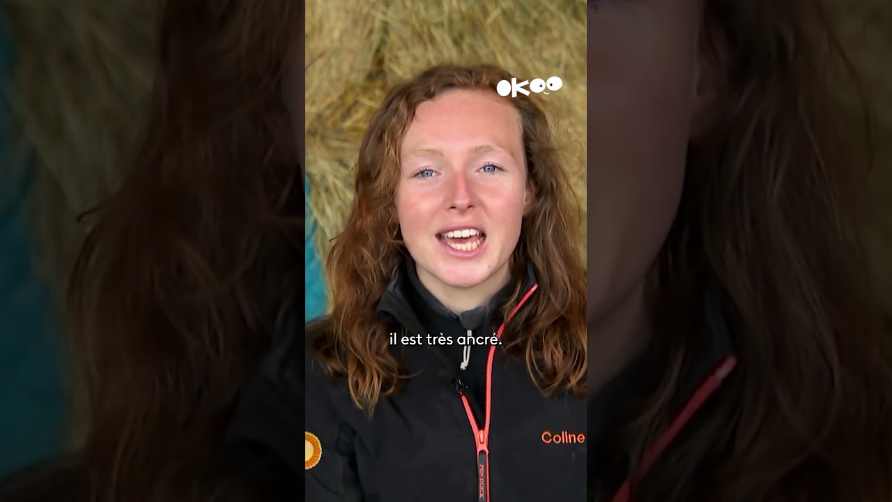 Une jeune jument de course pour faire un carrousel, c’est pas facile à gérer 😅 #équitation #cheval