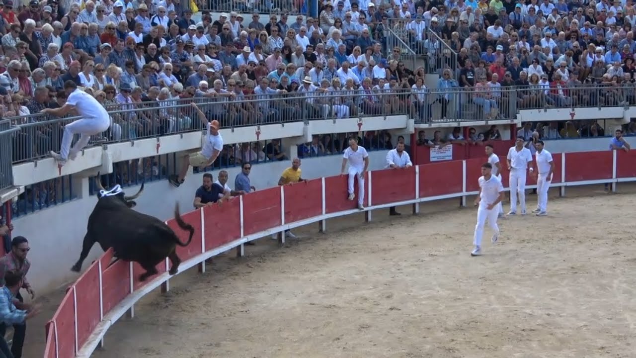 finale du trophée de la mer Le 14 09 2025