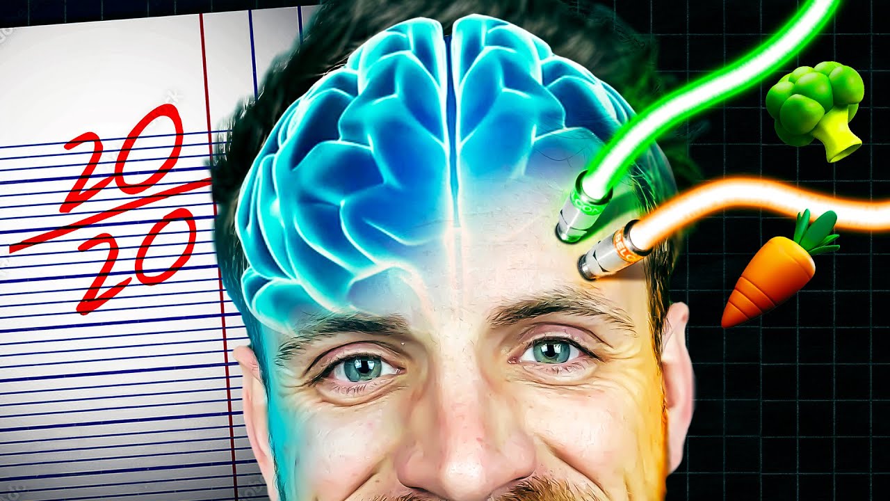 TOP 10 aliments pour le cerveau et la concentration 🧠