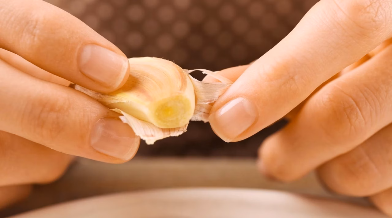 Champignons farcis : la recette à partager à l&rsquo;apéritif