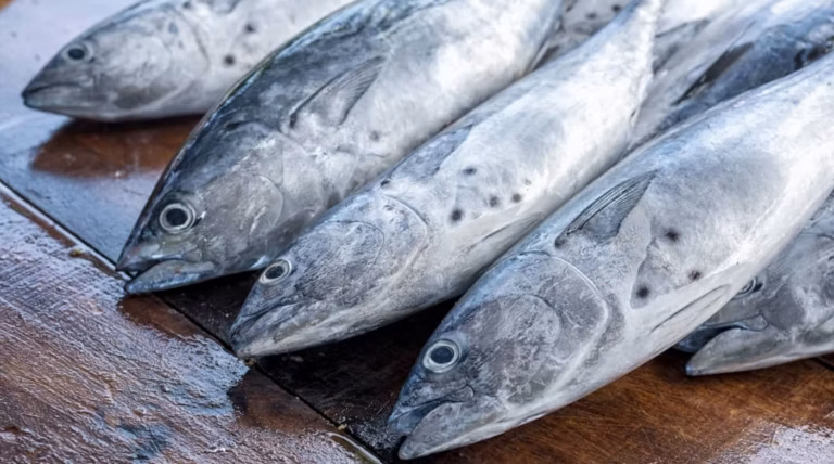 Navettes au saumon et Boursin : peut-on les garnir la veille